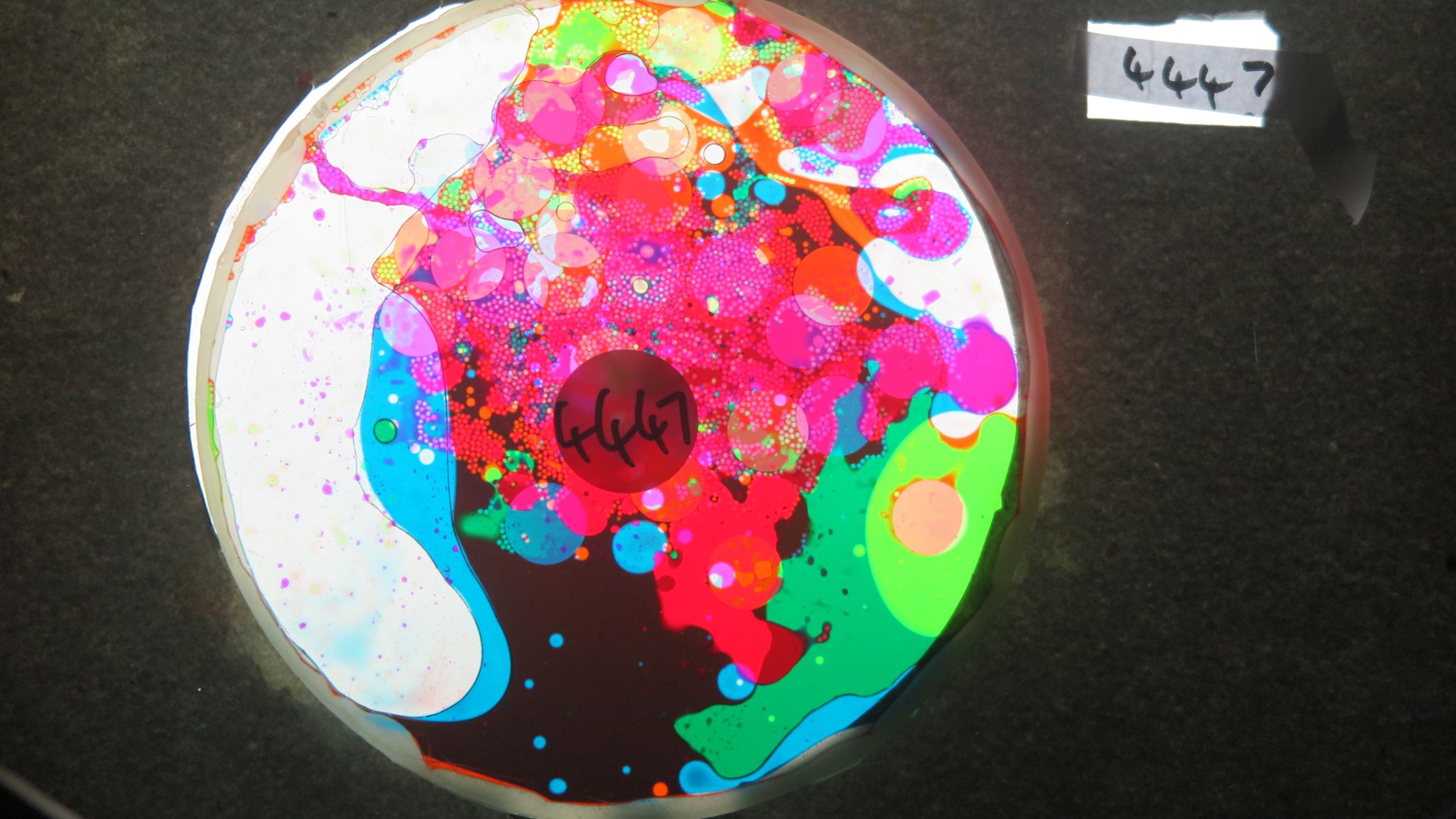 BV4447 bubble vision oil wheel